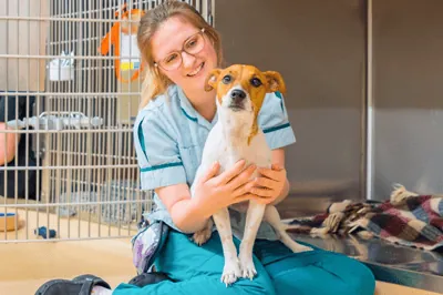 WE’RE TOP DOG FOR CANINE WELFARE
