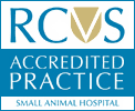 accreditation rcvs ap sah