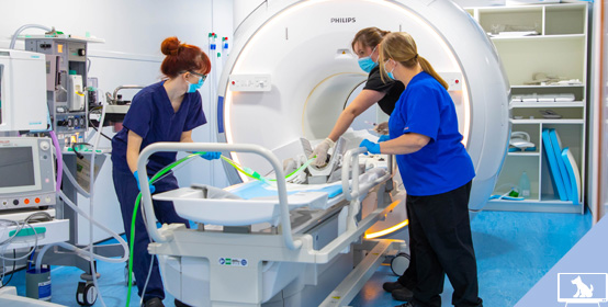 services diagnostic imaging