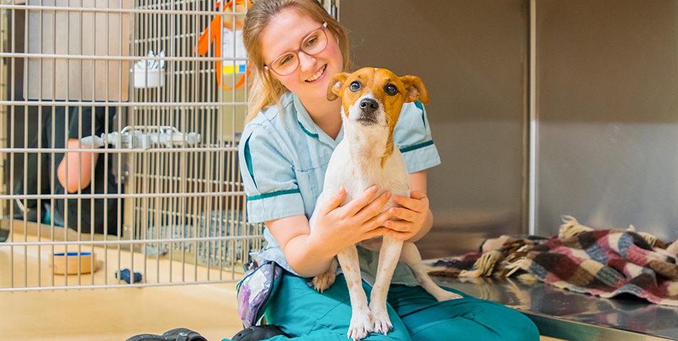 Our team of specialist clinicians & highly-skilled veterinary nurses work to ensure we provide first class care