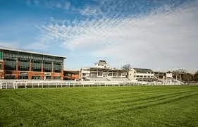 The Weird, The Whacky and The Wonderful