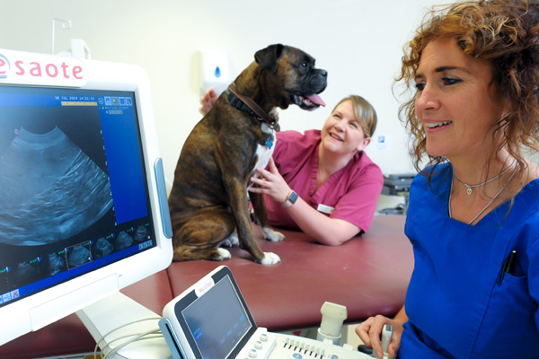 Specialist Veterinary Centre