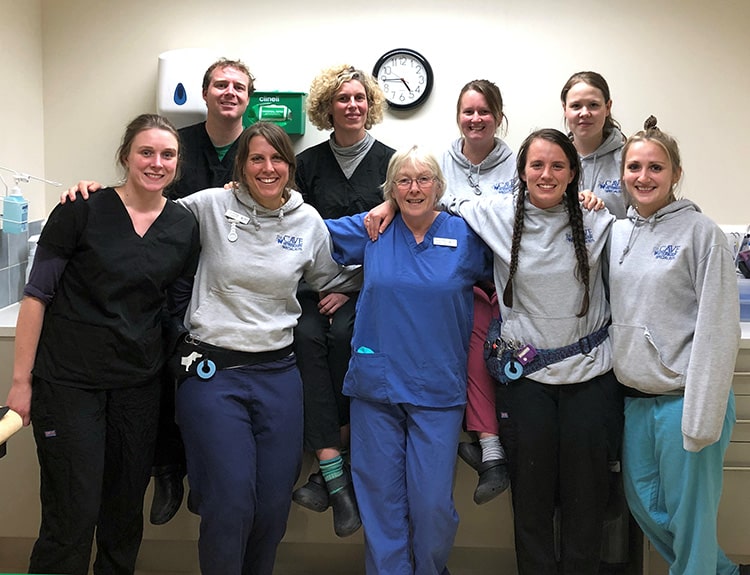 cave-vets-chemo-team