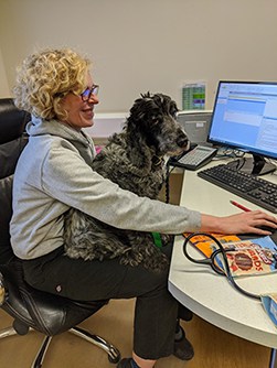 ollie-dog-chemo-treatment