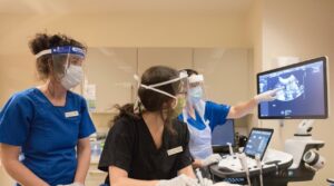 Cave veterinary specialists team members training