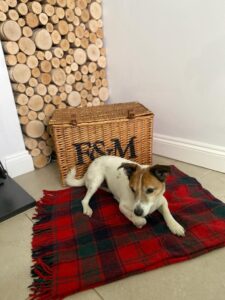 Pongo after Cave veterinary specialists care