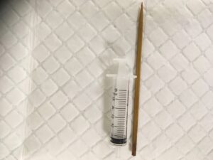 The kebab skewer after removal, with a syringe for scale