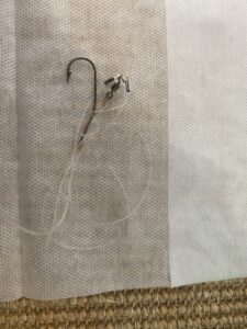 Fish hook once retrieved!