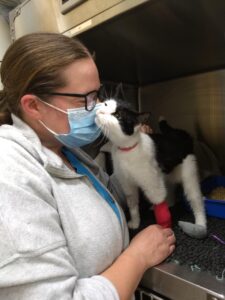 Veterinary Nurse