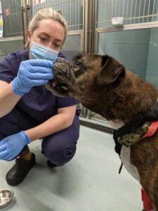 Clinical Supervisor