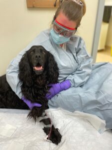 Cave chemotherapy nurse