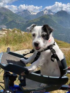 daisy-trip-mountains