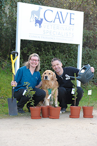 Tree planting initiative launched at cave