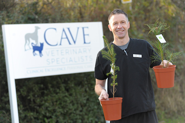 Tree-planting scheme at Cave