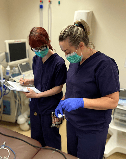 new-nurses-cave-vets
