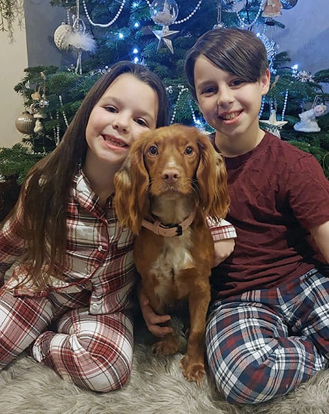 Honey at Christmas