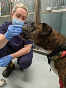 Bryony Gilder with a patient