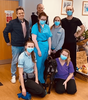 Blind Greyhound Ralph with Cave Vets team