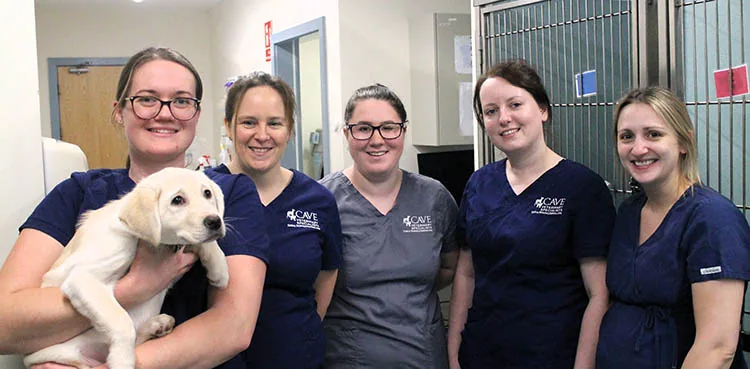 Dog Friendly Team at Cave Vets