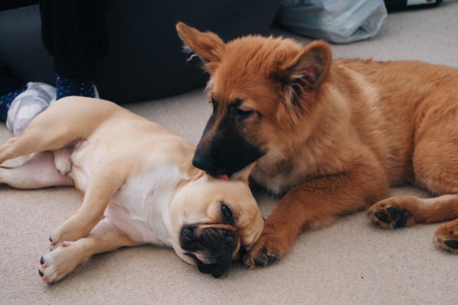 Elke and Friend