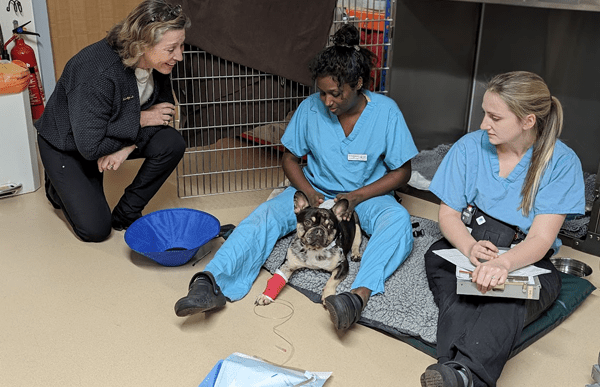 local-mp-visits-cave-vets-hospital