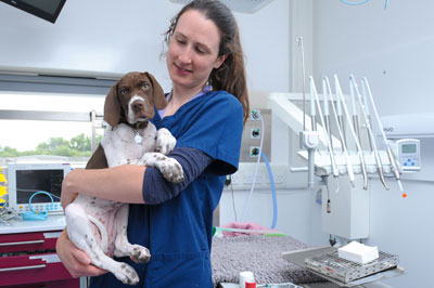 cave-vets-somerset-veterinary-dental-service