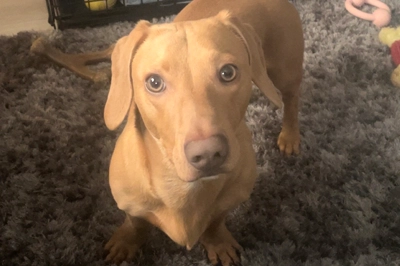 Milo