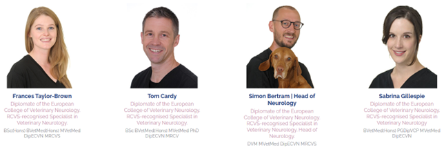 meet the neurology team