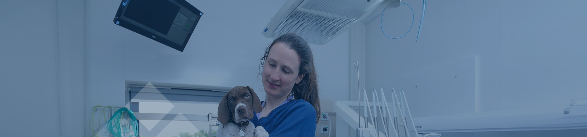 Dentistry and Oral Surgery | Cave Veterinary Specialists