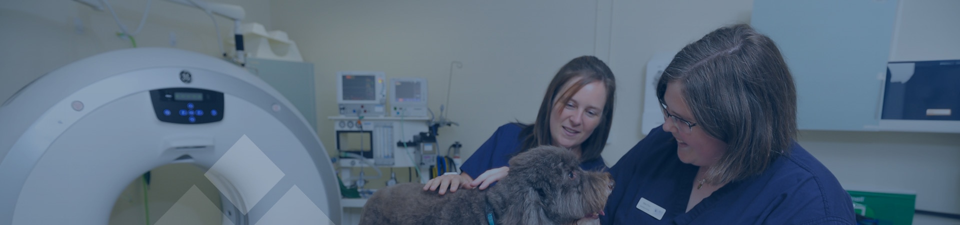 How We Care For Your Pet | Cave Veterinary Specialists