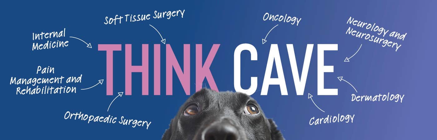 Cave Veterinary Specialists | Pet Hospital & Referral Centre Somerset