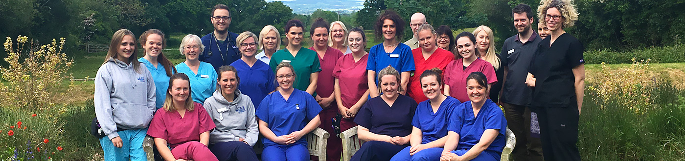 Hospital Administration Team | Cave Veterinary Specialists 