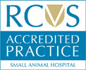 rcvs accredited practice