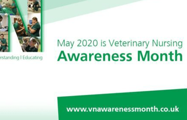 rvn-awareness-month