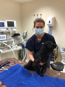 Amy Gardiner our veterinary nurse