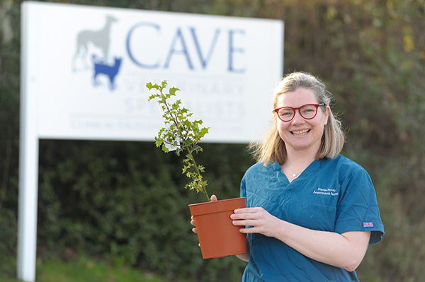 Tree planting initiative at cave