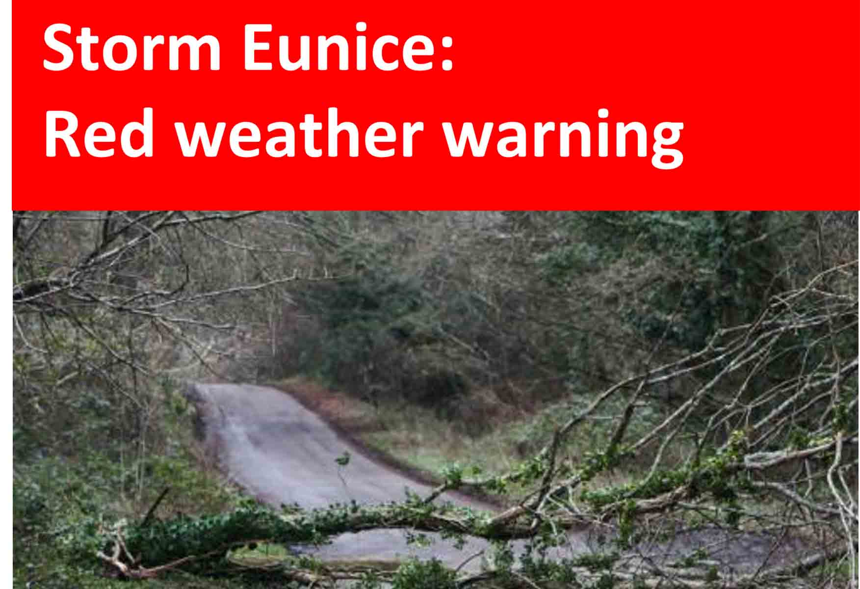 Cave Vet Specialists Wellington UK - Storm Eunice notice