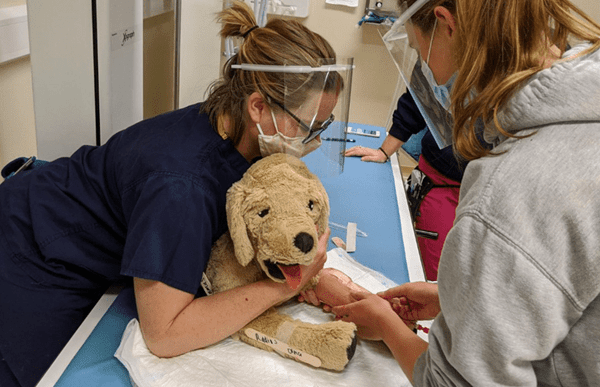 cave-vets-developing-nurses