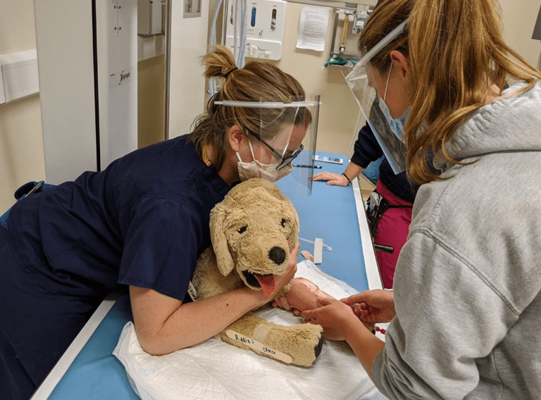 Developing our Veterinary Nurses