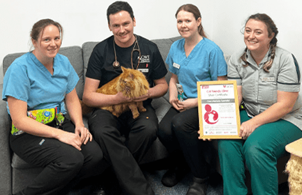 isfm-recognition-cave-vets