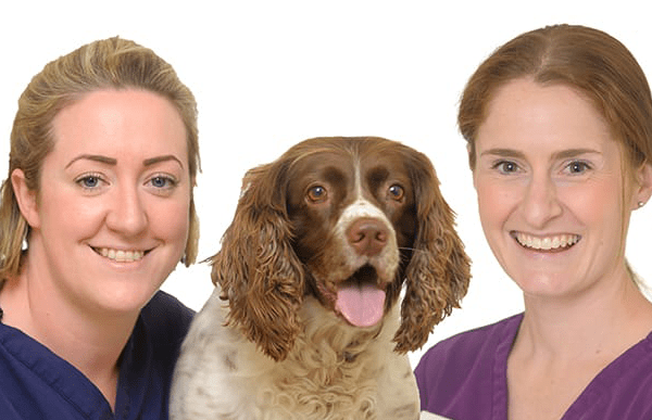 cave-vets-nationwide-success