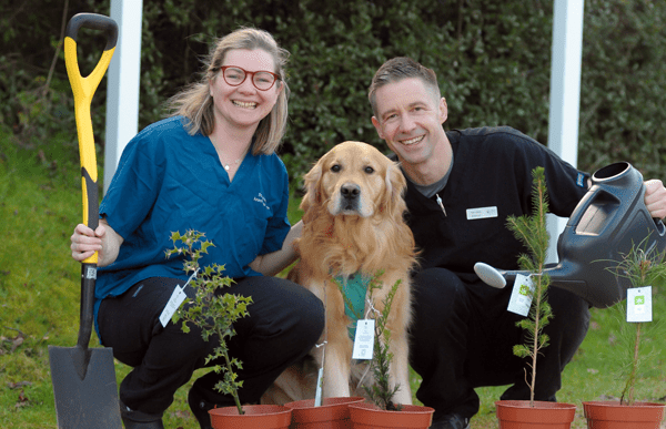 thumb-image-tree-planting-cave-vets