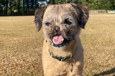 Maxillofacial surgery – Rocket, a very special patient